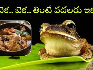 Frogs Health Benefits: కప్పలు తింటే ఇన్ని లాభాలున్నాయా? పదండ్రా పట్టుకొద్దాం!