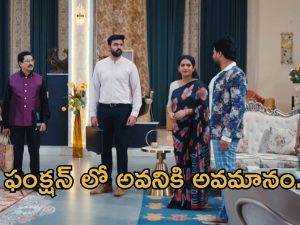 Intinti Ramayanam Today Episode: కమల్ ను ఆఫీస్ కు పంపిన పల్లవి.. ఫంక్షన్ లో అవనికి ఘోర అవమానం..