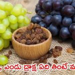 Grapes Vs Raisins: ద్రాక్ష, ఎండు ద్రాక్ష ఈ రెండింటిలో ఏది బెటర్ ? ఎవరు, ఎప్పుడు తినాలో తెలుసా..