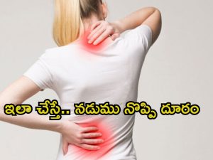 Back Pain: ఇలా చేస్తే.. శాశ్వతంగా బ్యాక్ పెయిన్ దూరం