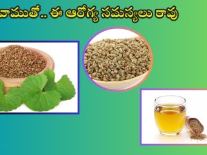 Ajwain Benefits: వాము తింటే ఈ ఆరోగ్య సమస్యలు రమ్మన్నా.. రావు