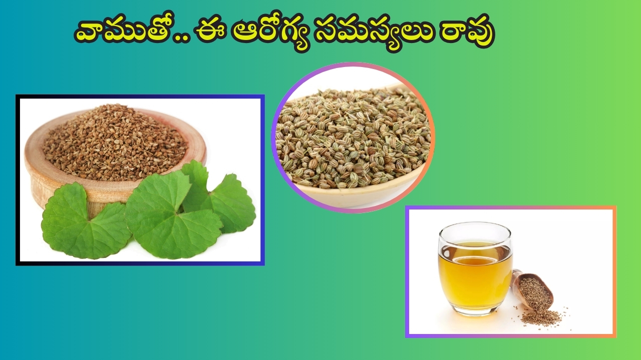 Ajwain Benefits: వాము తింటే ఈ ఆరోగ్య సమస్యలు రమ్మన్నా.. రావు