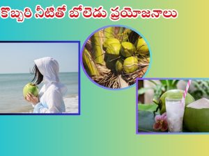 Coconut Water: కొబ్బరి నీరు తాగుతున్నారా ? ముందుగా ఈ విషయాలు తెలుసుకోండి