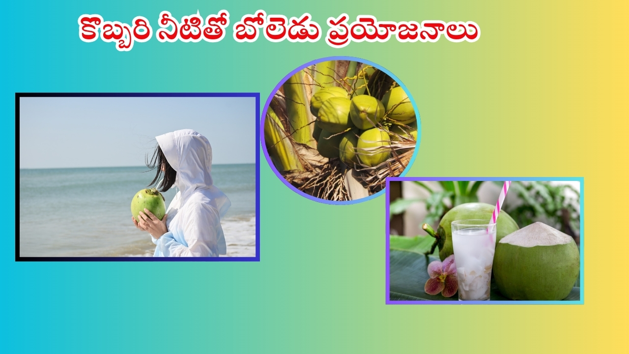 Coconut Water: కొబ్బరి నీరు తాగుతున్నారా ? ముందుగా ఈ విషయాలు తెలుసుకోండి