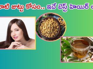 Hair Growth Oil: కరివేపాకు, మెంతి గింజలతో హెయిర్ ఆయిల్.. జుట్టు పెరగడం గ్యారంటీ