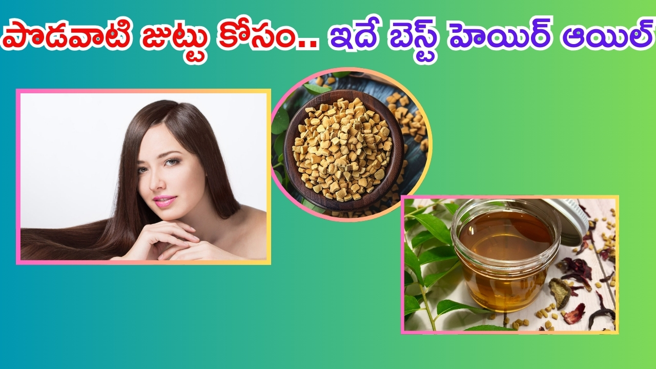 Hair Growth Oil: కరివేపాకు, మెంతి గింజలతో హెయిర్ ఆయిల్.. జుట్టు పెరగడం గ్యారంటీ