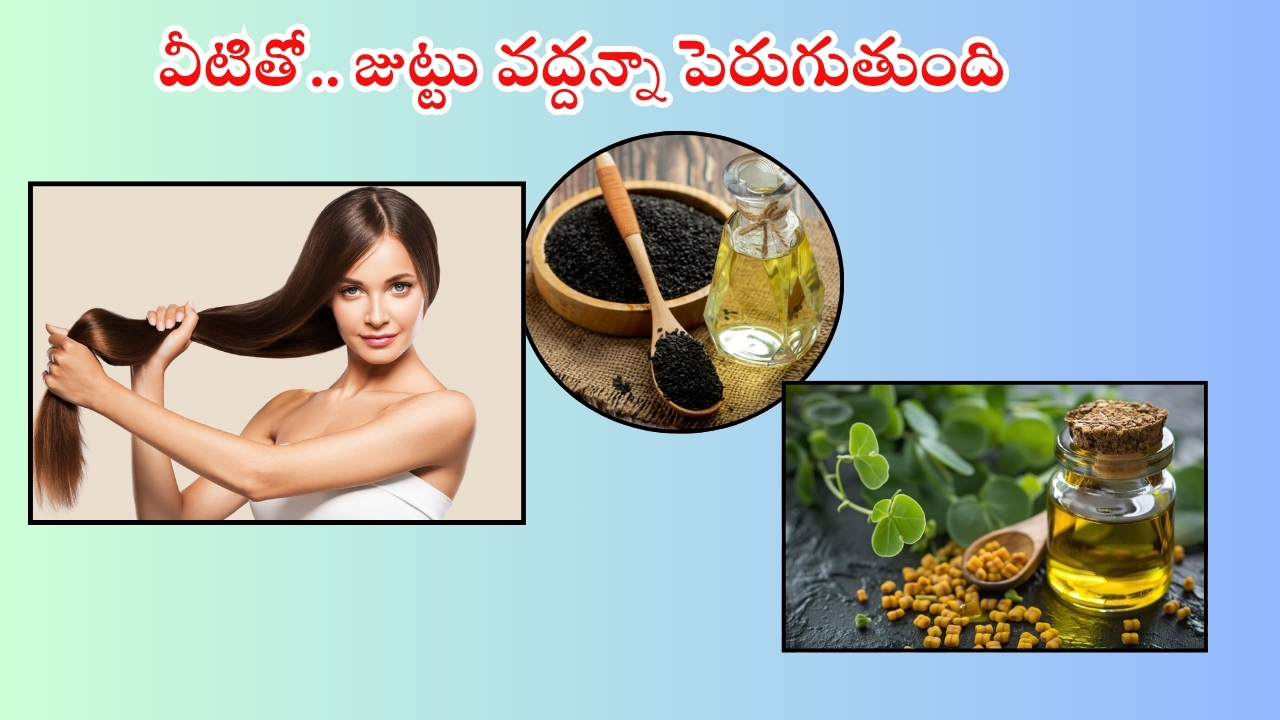 Home Remedies For Hair: ఇవి వాడితే.. వద్దన్నా జుట్టు పెరుగుతుంది తెలుసా ?