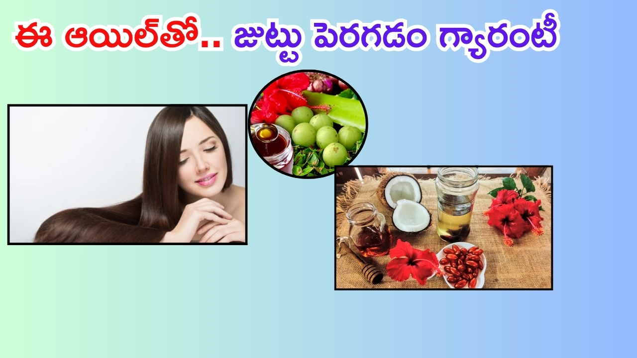 Herbal Hair Oil: ఈ హెర్బల్ హెయిర్ ఆయిల్‌తో.. జుట్టు పెరగడం గ్యారంటీ