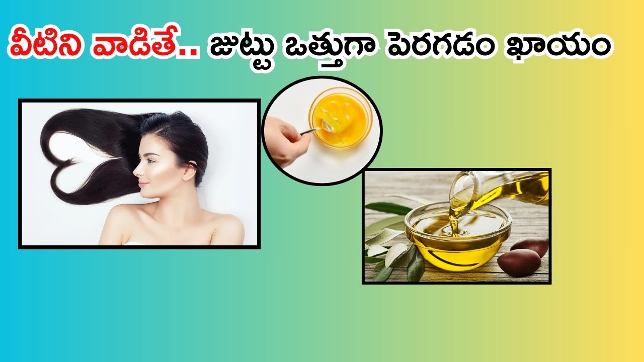 Healthy Hair Tips: వీటితో.. జుట్టు ఒత్తుగా పెరగడం ఖాయం