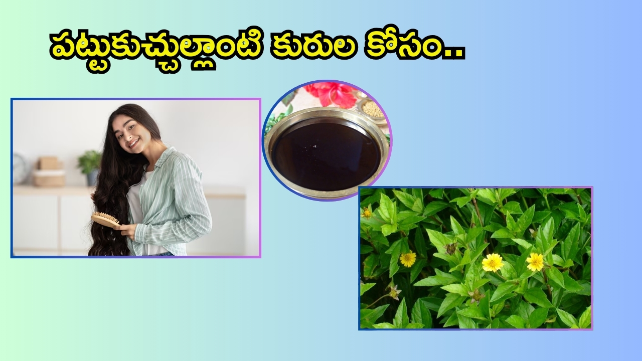 Homemade Bhringraj Hair Oil: ఈ ఆయిల్ 15 రోజులు వాడితే.. జుట్టు ఊడమన్నా ఊడదు