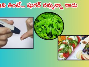 Diabetic diet: ఇవి తింటే షుగర్‌ రమ్మన్నా.. రాదు