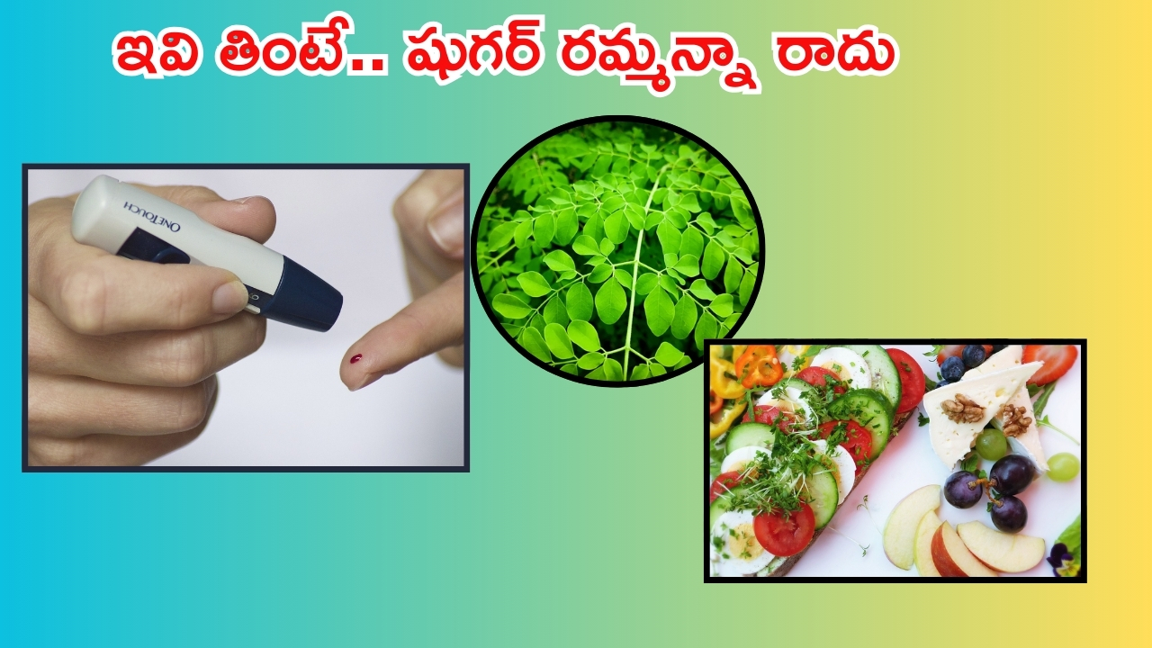 Diabetic diet: ఇవి తింటే షుగర్‌ రమ్మన్నా.. రాదు