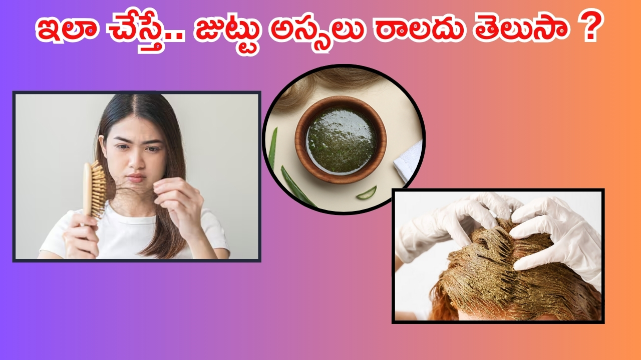 Tips For Hair Fall: హెన్నాలో ఈ 4 కలిపి రాస్తే.. జుట్టు అస్సలు రాలదు