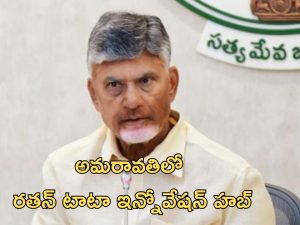 CM Chandrababu: అమరావతిలో రతన్ టాటా ఇన్నోవేషన్ హబ్