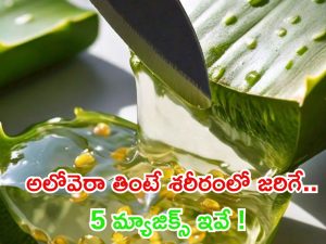 Aloe Vera: అలోవెరా తింటే శరీరంలో జరిగే 5 మ్యాజిక్స్ ఇవే !