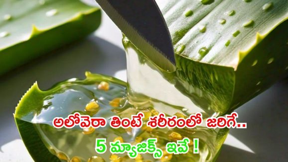 Aloe Vera: అలోవెరా తింటే శరీరంలో జరిగే 5 మ్యాజిక్స్ ఇవే !