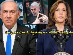 Yahya Sinwar Kamala Harris| ‘యహ్యా సిన్వర్ మృతితో గాజా యుద్ధం ముగిసిపోవాలి’.. ఇజ్రాయెల్‌కు కమలా హారిస్ సూచన