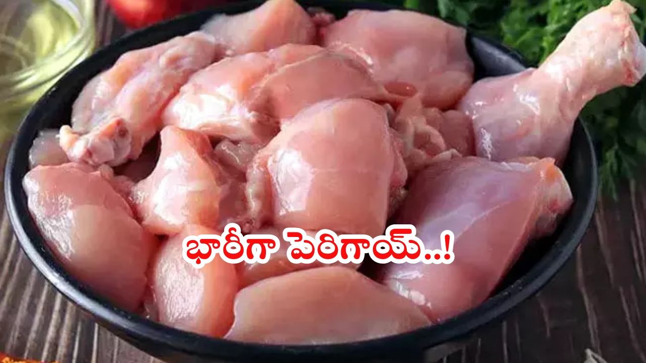 Chicken Rates: మాంసప్రియులకు పండుగ పూట బిగ్ షాక్.. భారీగా పెరిగిన చికెన్ ధరలు.. కేజీ ఎంతంటే?