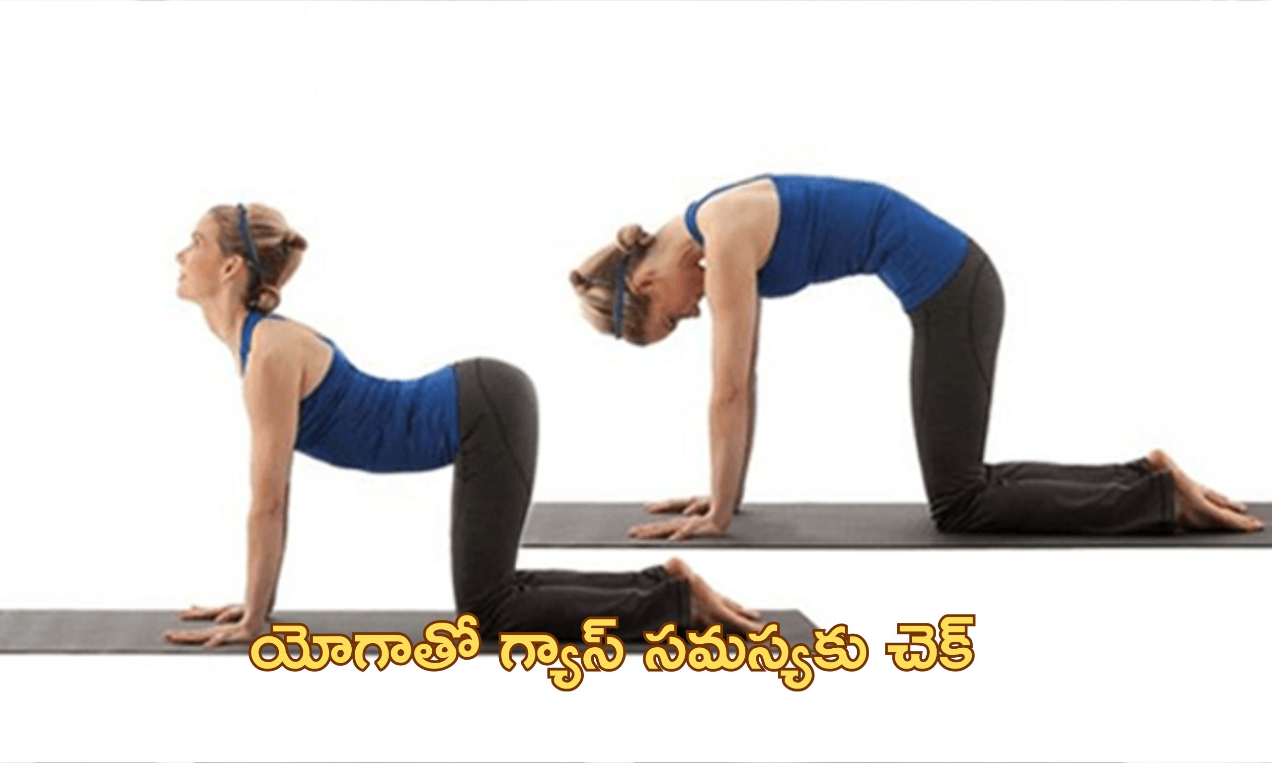 YogaAsanas Help Digestion: గ్యాస్, కడుపు ఉబ్బరం సమస్యలో బాధపడుతున్నారా?. జీర్ణశక్తిని పెంచే యోగాసానాలు ట్రై చేయండి..