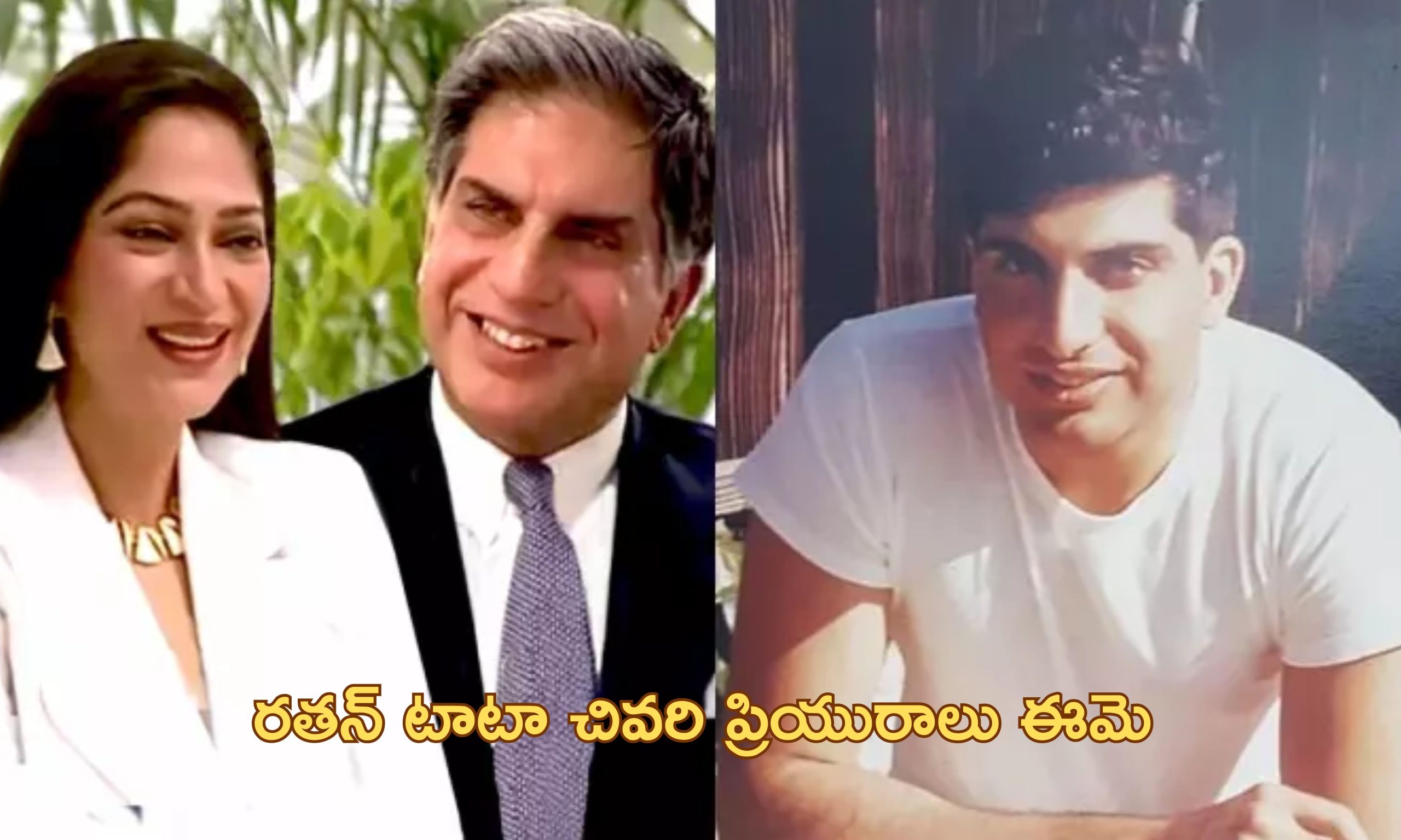 Ratan Tata Simi Garewal : బ్రహ్మచారిగా జీవించిన రతన్ టాటా.. ఆయన ప్రియురాలు ఎవరో తెలుసా?..