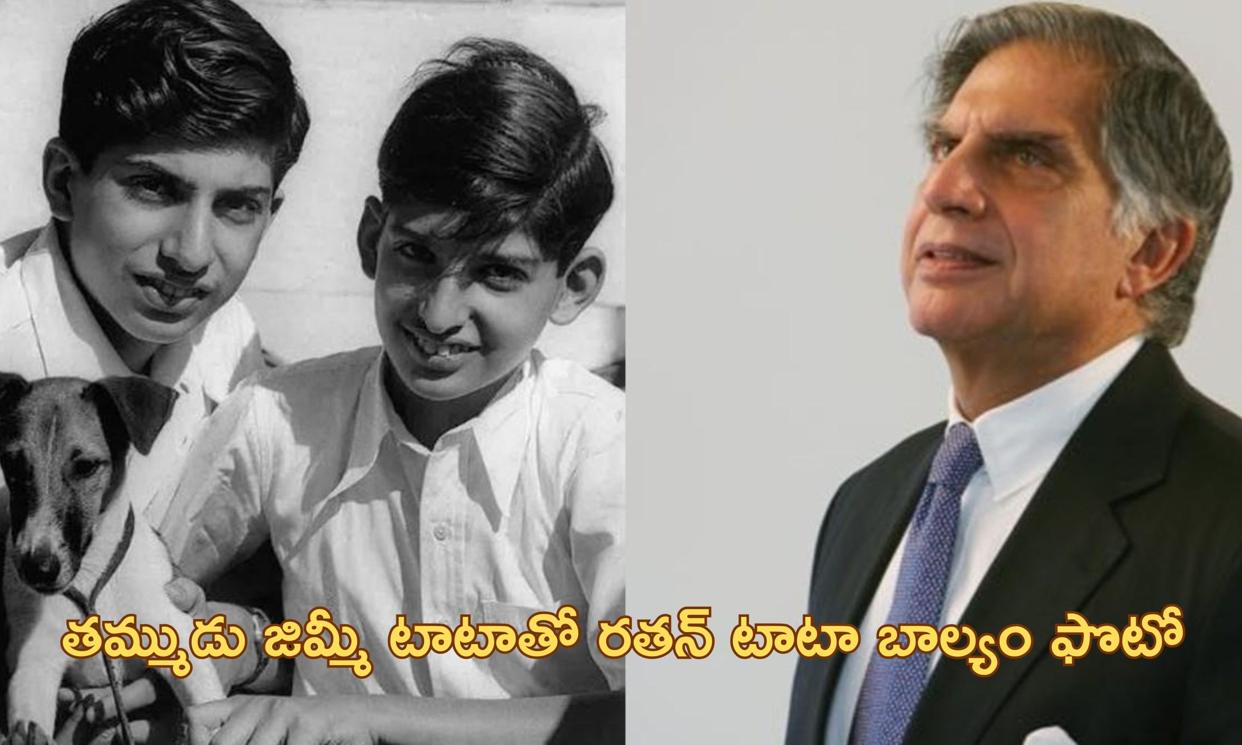 Ratan Tata Death: పదేళ్ల వయసులోనే తల్లిదండ్రులకు దూరమైన రతన్ టాటా.. బాల్యం ఎలా గడిచిందంటే..