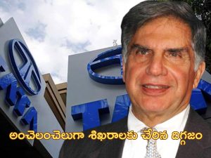 Ratan Tata Business Journey: చిన్న ఉద్యోగిగా చేరి.. టాటా కంపెనీకి అంతర్జాతీయ బ్రాండ్‌గా గుర్తింపు తెచ్చిన రతన్ టాటా!