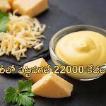 22,000 kg cheese stolen: 22 వేల కిలోల జున్ను చోరీ.. చాలా ఈజీగా పనికానిచ్చిన దొంగలు..