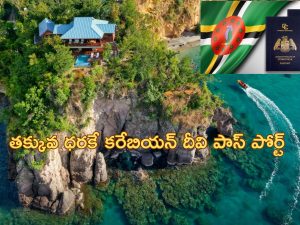 Dominica Citizenship: ‘ఎవరైనా రావొచ్చు’.. తక్కువ ధరకే పౌరసత్వం విక్రయిస్తున్న దేశం ఇదే..