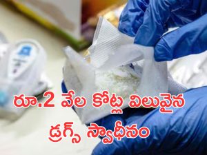 Delhi Drugs: ఢిల్లీలో భారీగా డ్రగ్స్.. రూ.2 వేల కోట్ల విలువైన కొకైన్‌ స్వాధీనం