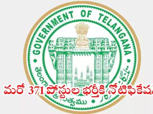 Telangana Jobs: గుడ్ న్యూస్.. వైద్య ఆరోగ్య శాఖలో మరో 371 పోస్టుల భర్తీకి నోటిఫికేషన్