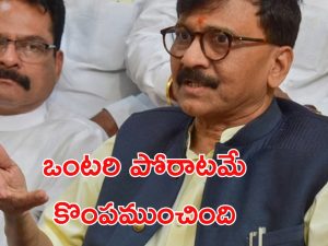 Sanjay Raut: హర్యానాలో ఓటమికి కాంగ్రెస్‌దే బాధ్యత.. సంజయ్ రౌత్ సంచలన వ్యాఖ్యలు