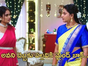 Intinti Ramayanam Today Episode : పల్లవి ప్లాన్ రివర్స్.. అవని దెబ్బకు పల్లవికి మైండ్ బ్లాక్..