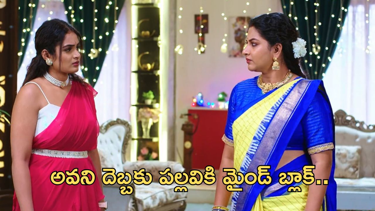 Intinti Ramayanam Today Episode : పల్లవి ప్లాన్ రివర్స్.. అవని దెబ్బకు పల్లవికి మైండ్ బ్లాక్..