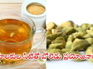 Cardamom Water: యాలకుల నీటితో ఈ సమస్యలన్నీ దూరం