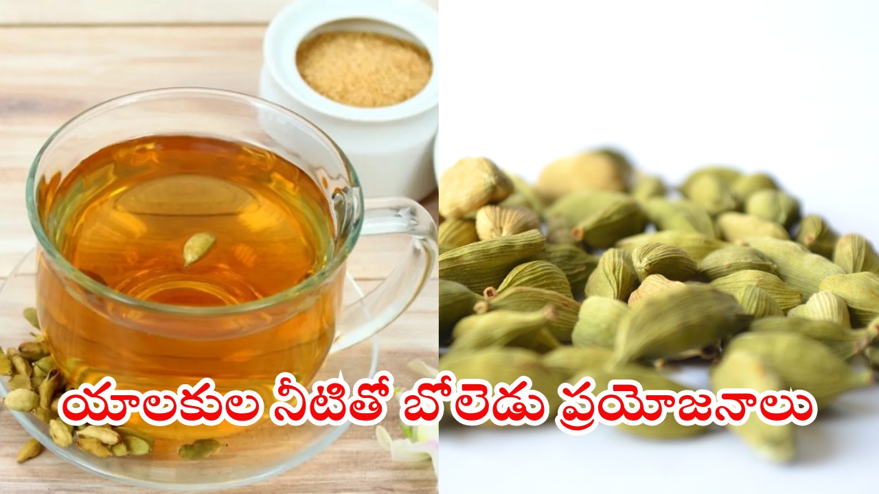 Cardamom Water: యాలకుల నీటితో ఈ సమస్యలన్నీ దూరం