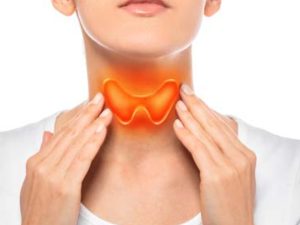 Thyroid: వీటితో ఇంట్లోనే థైరాయిడ్‌కు చెక్ !