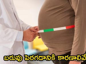 Obesity Causes: బరువు పెరగడానికి ప్రధాన కారణాలు ఇవే !