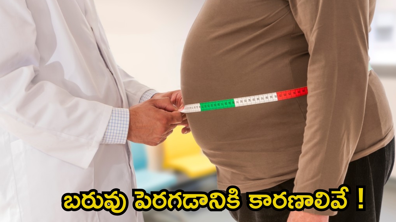 Obesity Causes: బరువు పెరగడానికి ప్రధాన కారణాలు ఇవే !