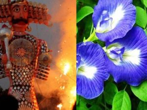 Vijayadashami 2024: దసరా నాడు ఈ సులభమైన పరిహారాలు పాటిస్తే ఇంట్లో ఆనందం, శ్రేయస్సు నిలిచి ఉంటాయి