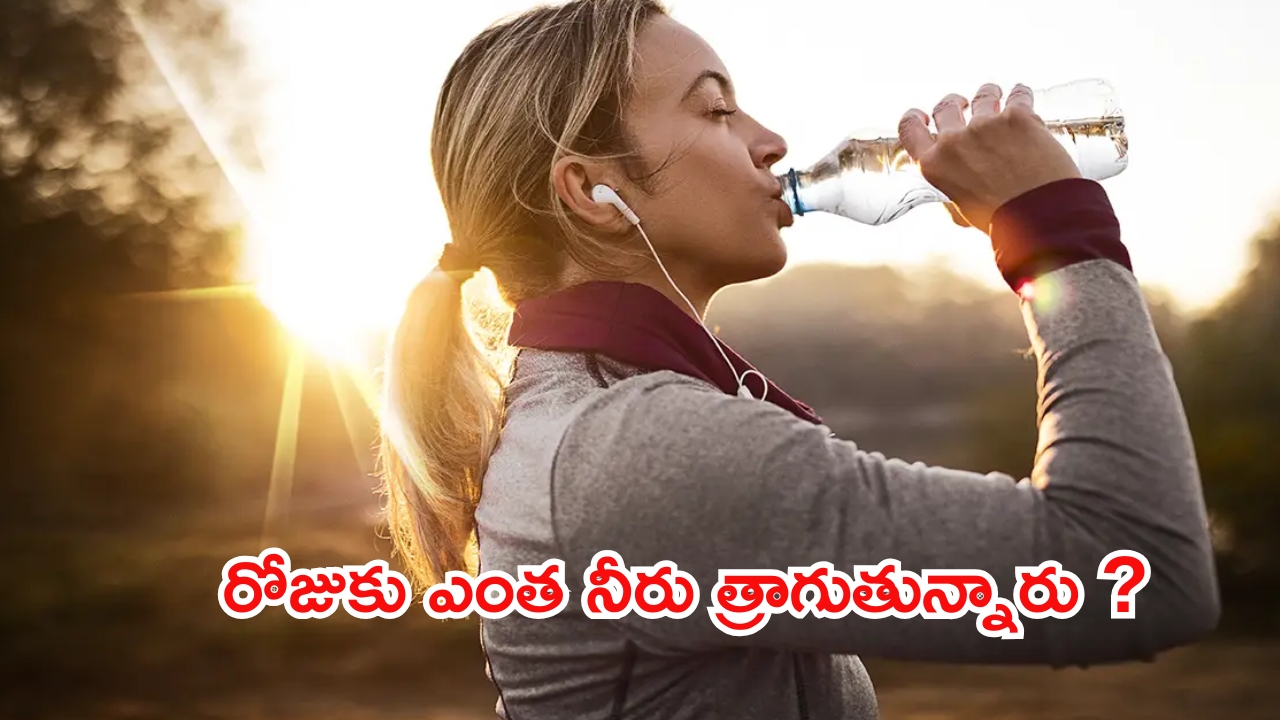 Health Tips: నీరు సరిపడా త్రాగకపోతే ఎంత ప్రమాదమో తెలుసా ?