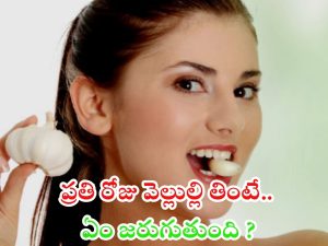 Garlic Benefits: ప్రతి రోజు వెల్లుల్లి తింటే ఈ సమస్యలన్నీ పరార్ !