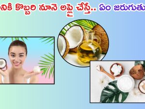 Coconut Oil For Face: ముఖానికి కొబ్బరి నూనె అప్లై చేస్తే.. ఏం జరుగుతుందో తెలుసా ?