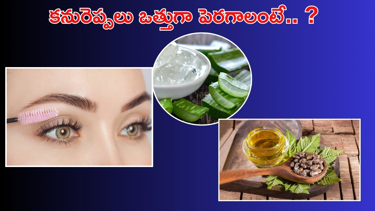 Tips For Eyelashes: ఇలా చేస్తే.. కొద్ది రోజుల్లోనే కనురెప్పలు ఒత్తుగా పెరుగుతాయ్