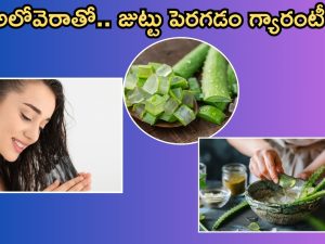 Aloe Vera For Hair: అలోవెరా ఇలా వాడితే.. మీ జుట్టు విపరీతంగాపెరుగుతుంది తెలుసా ?