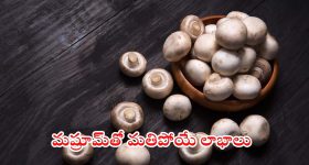 Mushroom: పుట్ట గొడుగుల గురించి ఈ విషయాలు తెలిస్తే.. షాక్ అవుతారు