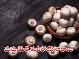 Mushroom: పుట్ట గొడుగుల గురించి ఈ విషయాలు తెలిస్తే.. షాక్ అవుతారు