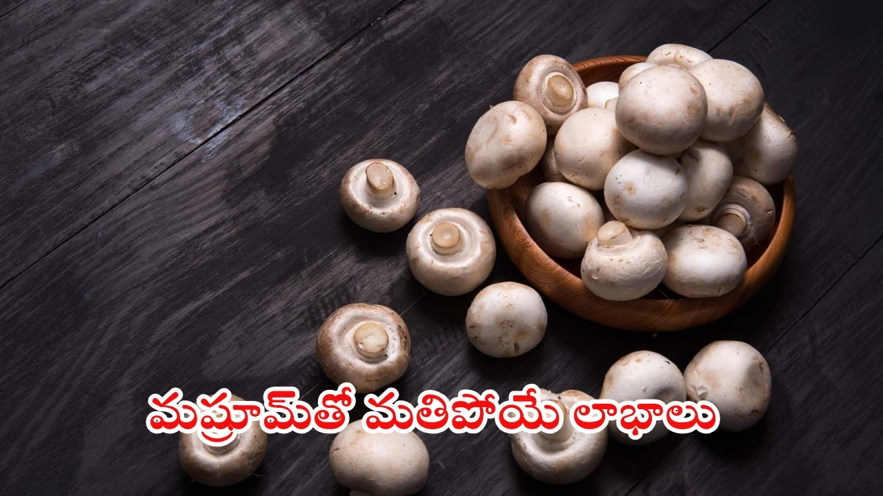 Mushroom: పుట్ట గొడుగుల గురించి ఈ విషయాలు తెలిస్తే.. షాక్ అవుతారు