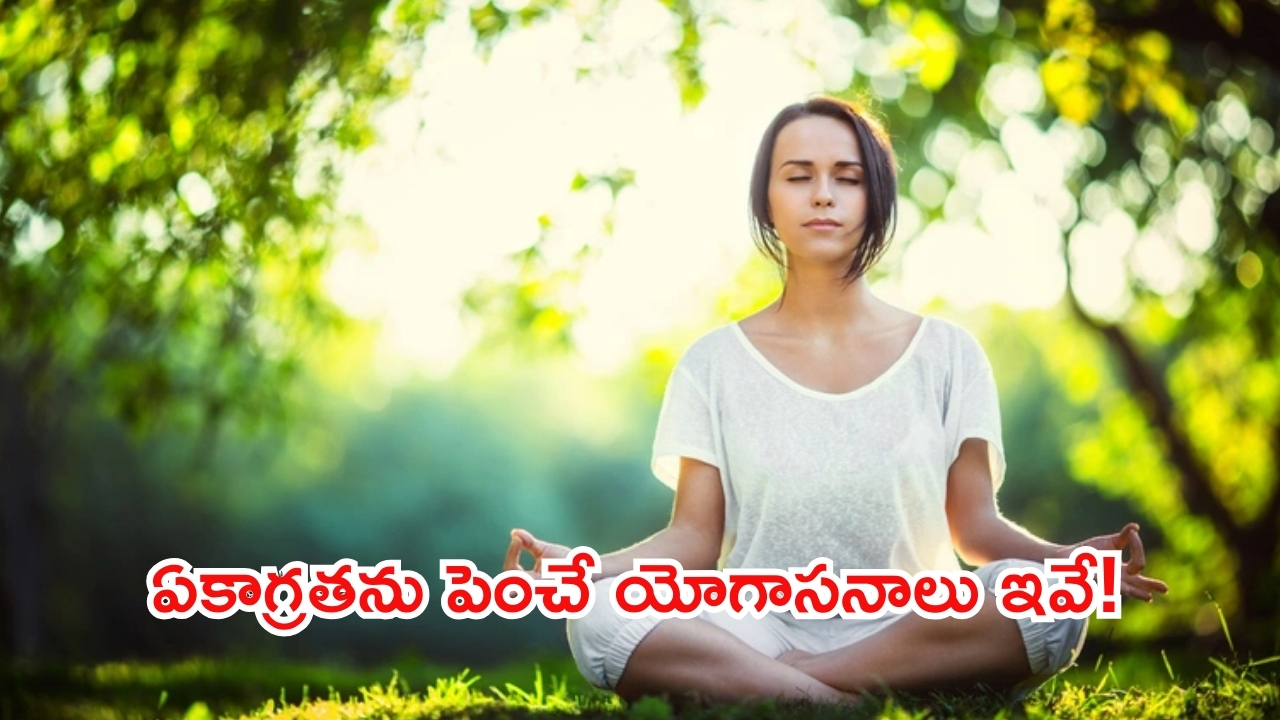 Yoga For Concentration: మీ ఏకాగ్రతను పెంచే యోగాసనాలు ఇవే !