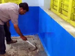 Snake Hulchul in School: పాఠశాలలో నాగుపాము కలకలం.. విద్యార్థుల్లో భయం భయం