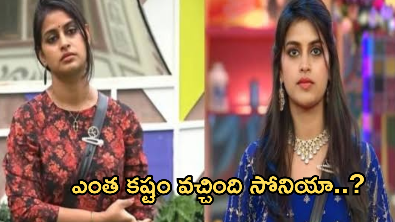 Bigg Boss Sonia : బిగ్ బాస్ వల్ల సోనియాకు భారీ నష్టం.. కట్టుకోబోయే వాడు కూడా..